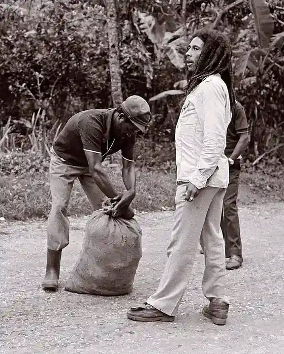 Babujibaba's tweet photo. BOB MARLEY THE FARMER
βYes, me is a planter by heart! Me grow up in it, yβknow? Thatβs the first thing me ever do - farming. Me grow up inna it, and is it me really love.β
- Bob Marley
(π· Neville Garrick RIP)
#BobMarley #Farming #ReggaeInSeattleπππΈπͺππβ€οΈπΏπ₯π―π² https://t.co/bCzBO9DPKx
