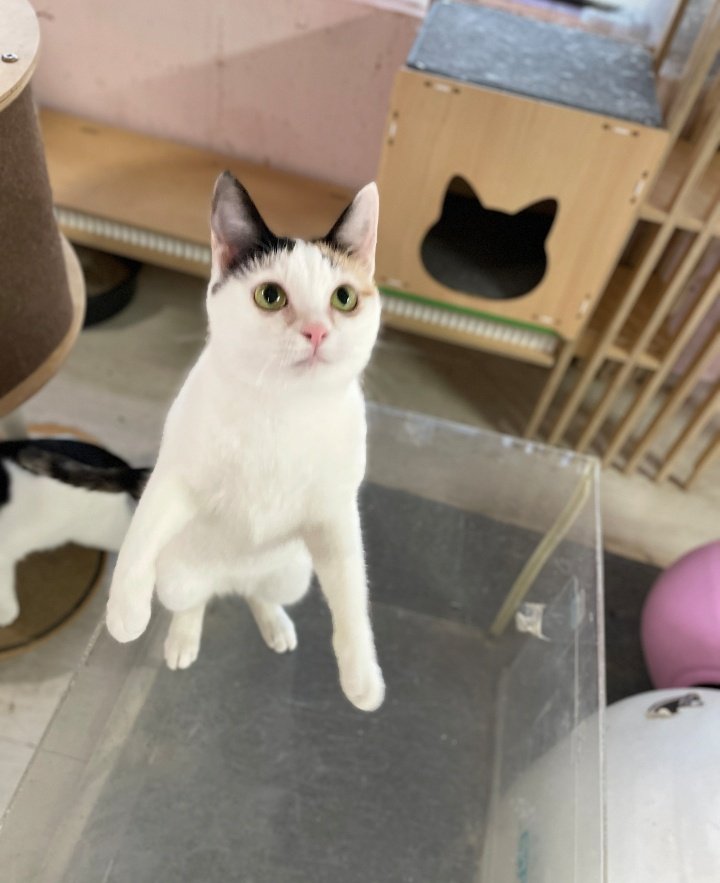 ㄱㄴㄲ tweet media