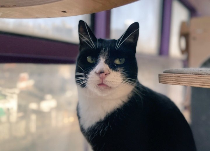 ㄱㄴㄲ tweet media