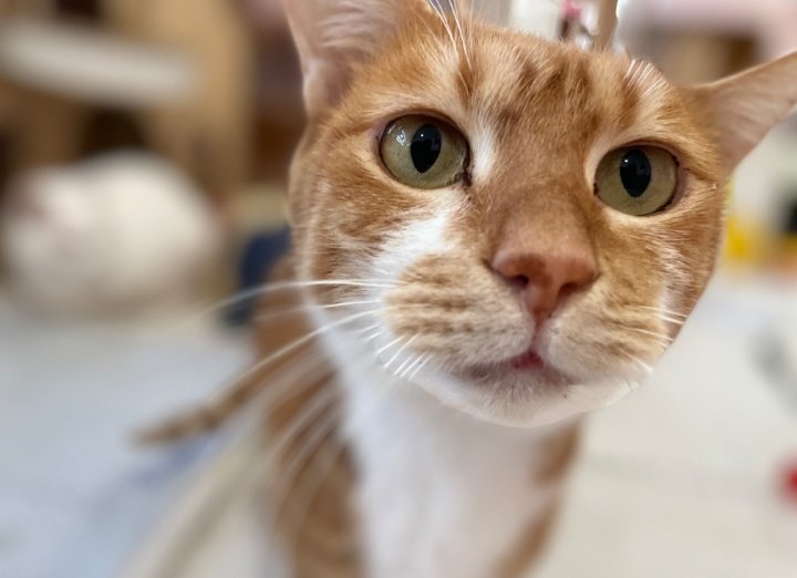 ㄱㄴㄲ tweet media