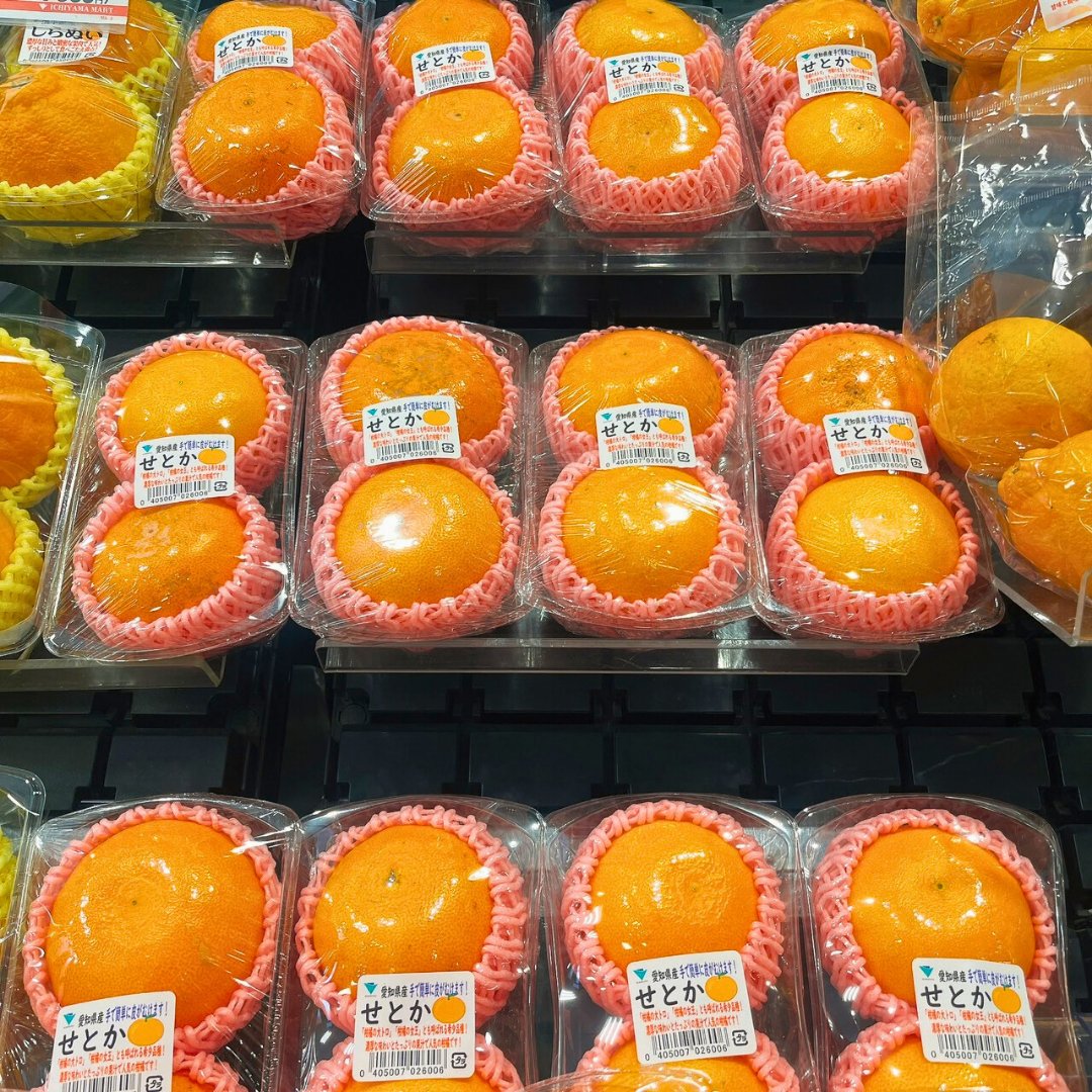 手でむける柑橘「せとか」🍊 とろっとした果肉に、濃厚な甘み。 “柑橘