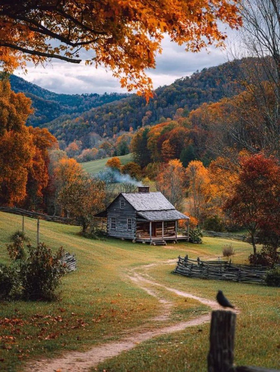 purenature_1's tweet image. Colourful nature 🍀🌿🍂🪾 #autumn #fall