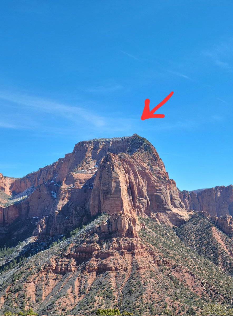 Tek Here! tweet media