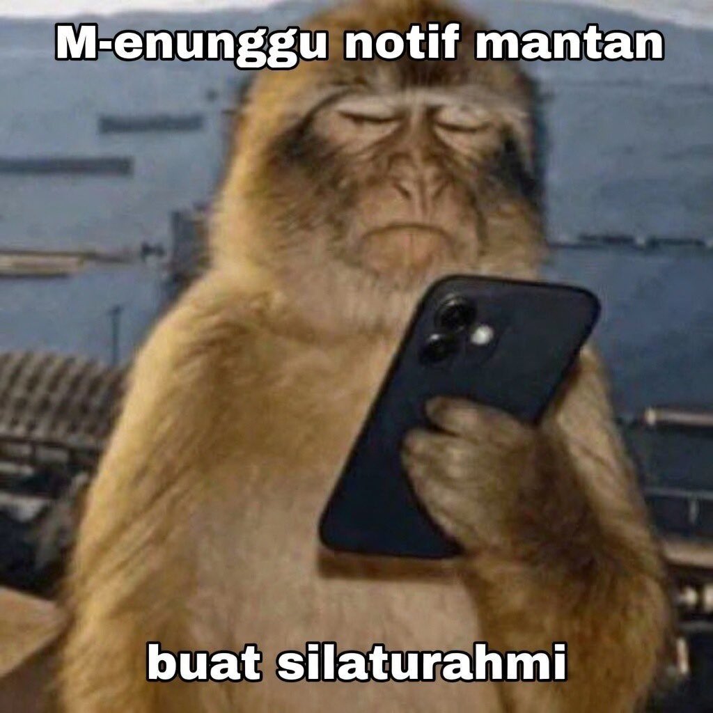 Blibli tweet media
