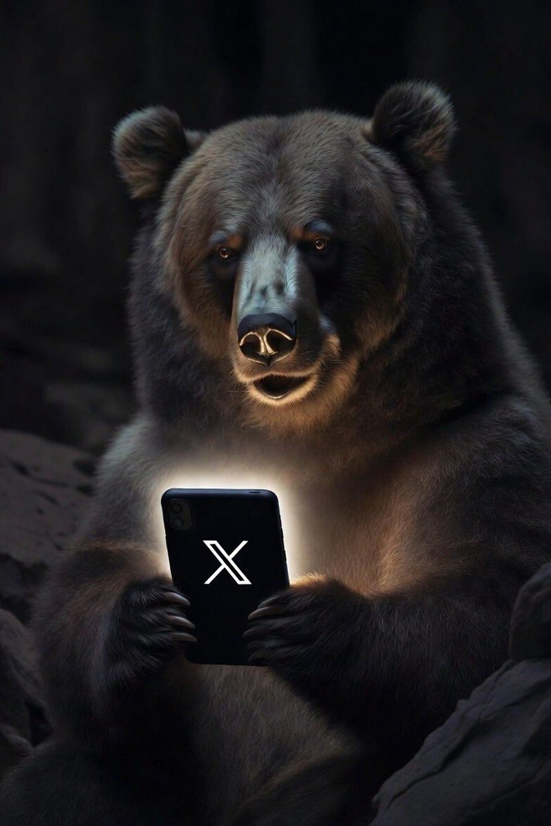 Mitu King 🐻 tweet media