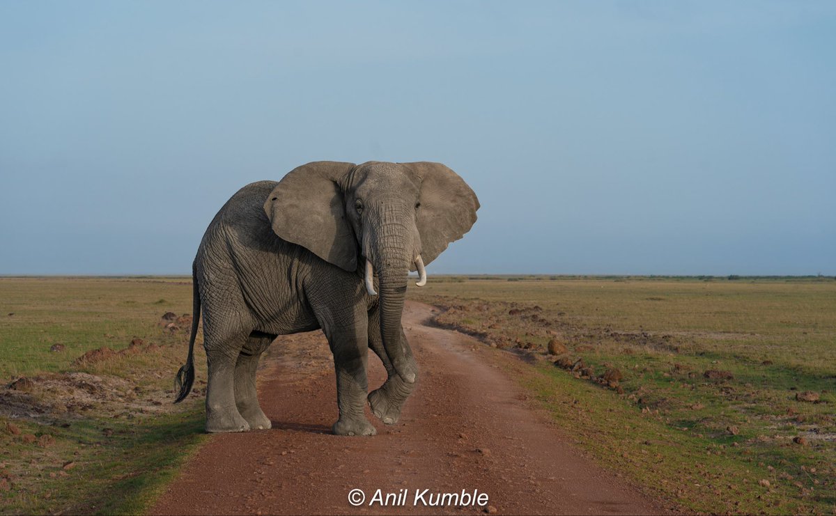 Anil Kumble tweet media