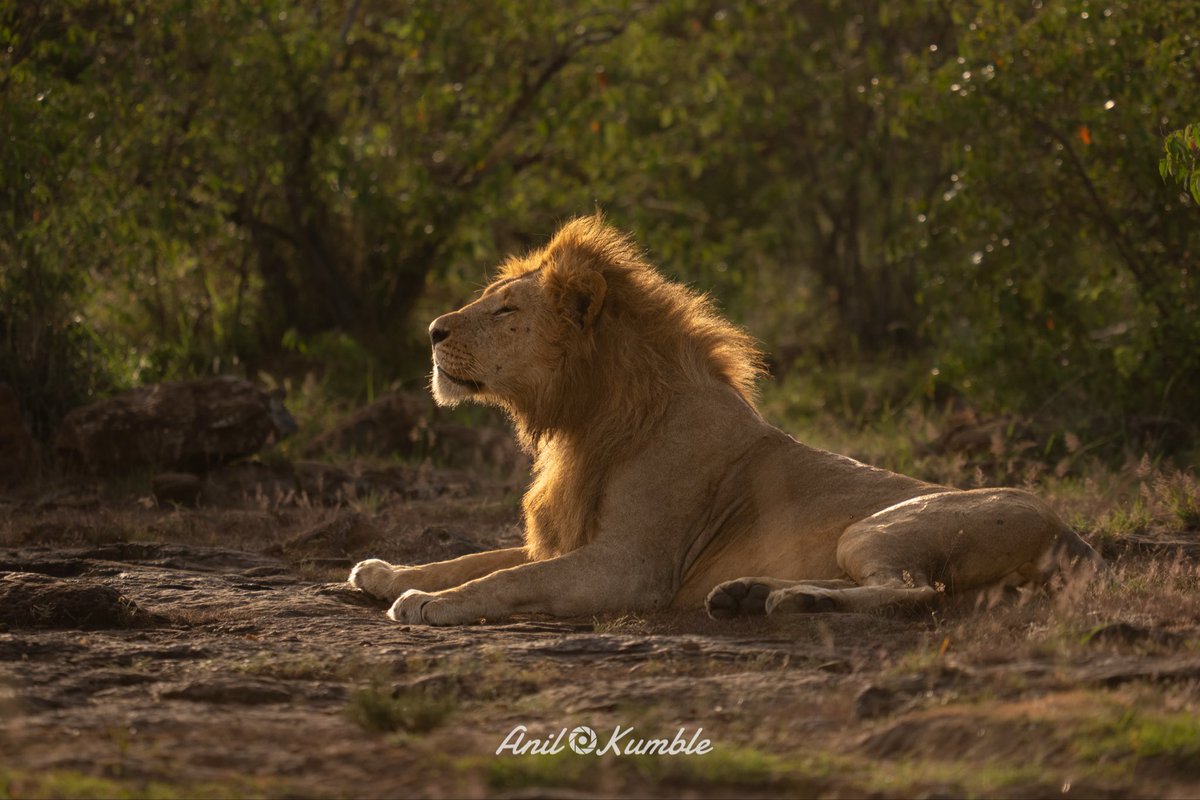 Anil Kumble tweet media