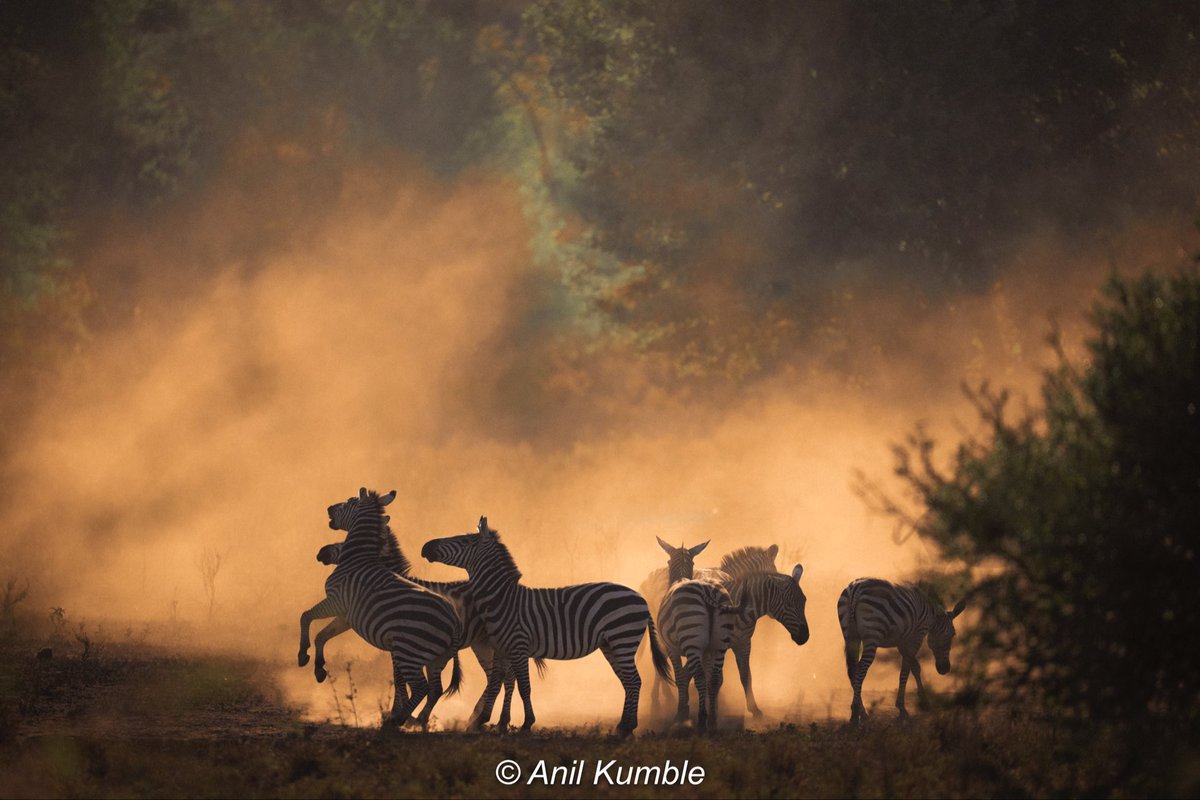 Anil Kumble tweet media