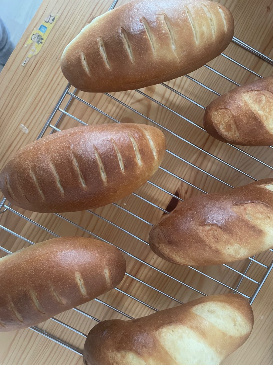 舞草登山駅伝 tweet media