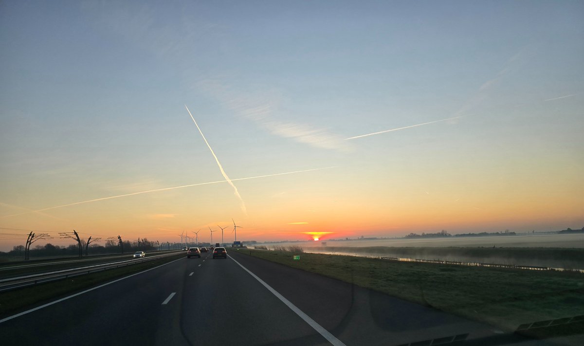 Ronald van den Broek tweet media