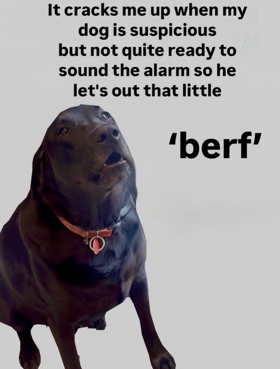 Respectful Memes (@respectfulmemes) on Twitter photo 