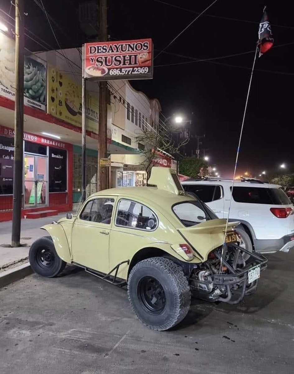 lifeandengines's tweet image. Baja
#vdub #bug