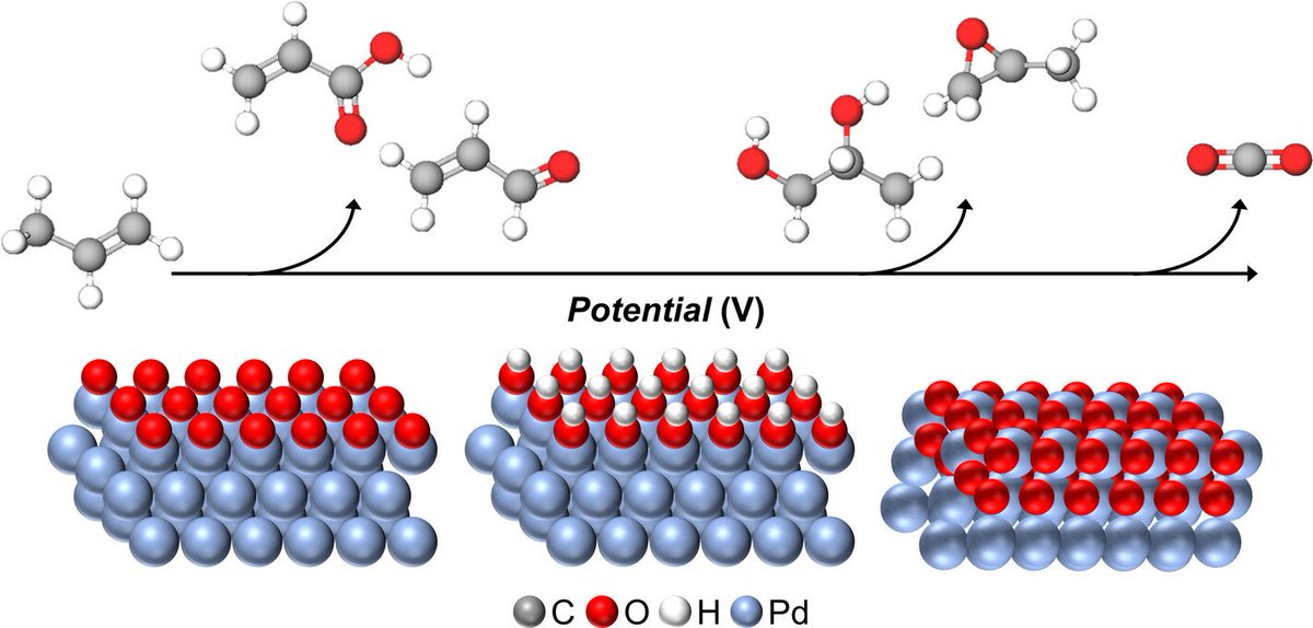 Bkcs_Official's tweet photo. Electrocatalytic oxidation of propylene: Mechanistic insights from dynamic surfaces by Dongho Lee et al.
How do dynamic surface oxygen species control C–O coupling? Check this review. #Electrocatalysis #Propylene #Operando ttps://doi.org/10.1002/bkcs.70094 https://t.co/77YNEZpwEk