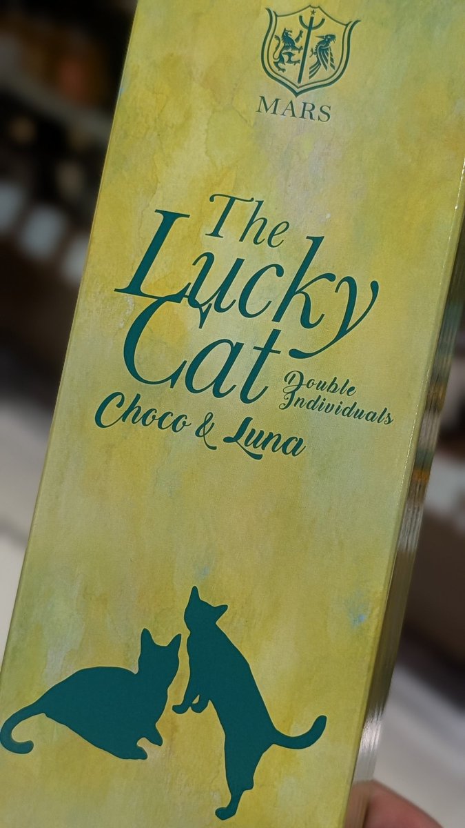 mist_pg's tweet image. ラッキー猫！
家に猫が増えていく