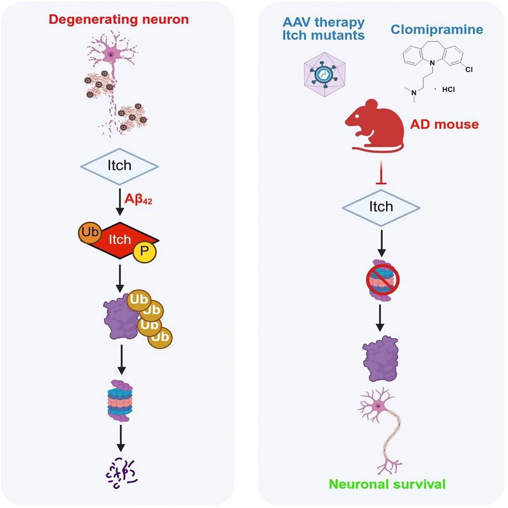 Department of Biotechnology tweet media