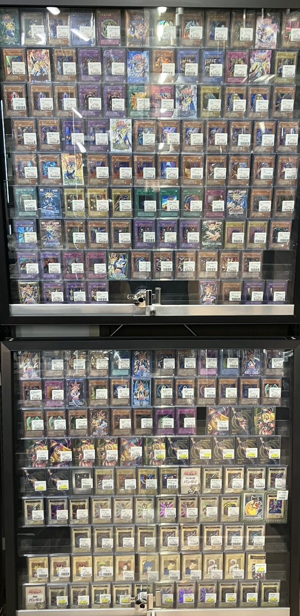 🌟福福トレカ遊戯王専門店商品情報🌟 #秋葉原 #遊戯王 #yugioh 当店