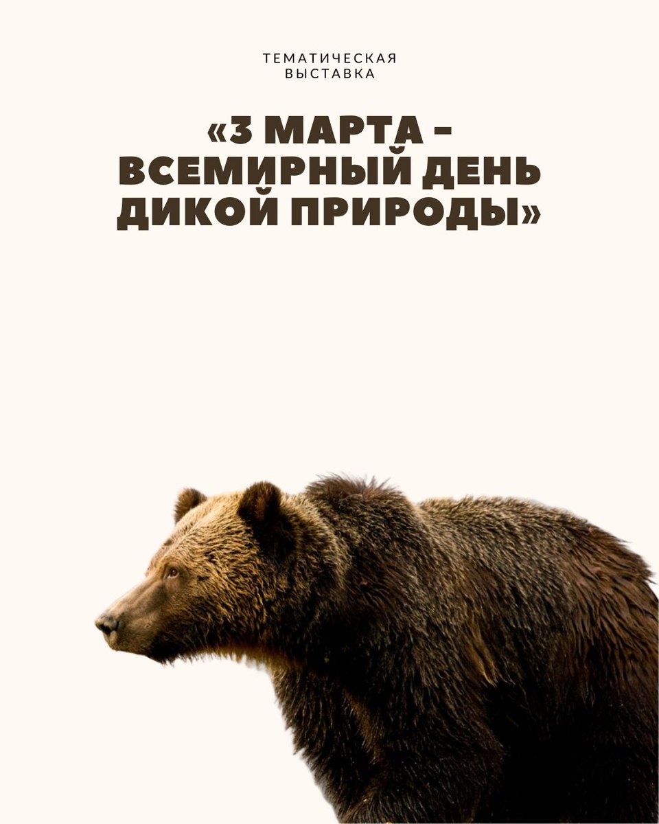 BelalLibrary's tweet photo. В Белорусской сельскохозяйственной библиотеке проходит тематическая выставка изданий, посвященная Всемирному дню дикой природы.
Приглашаем ознакомиться с презентацией и списком документов, которые представлены на выставке по ссылке: https://t.co/LJz9r0vkKT https://t.co/3pGQYQUshx