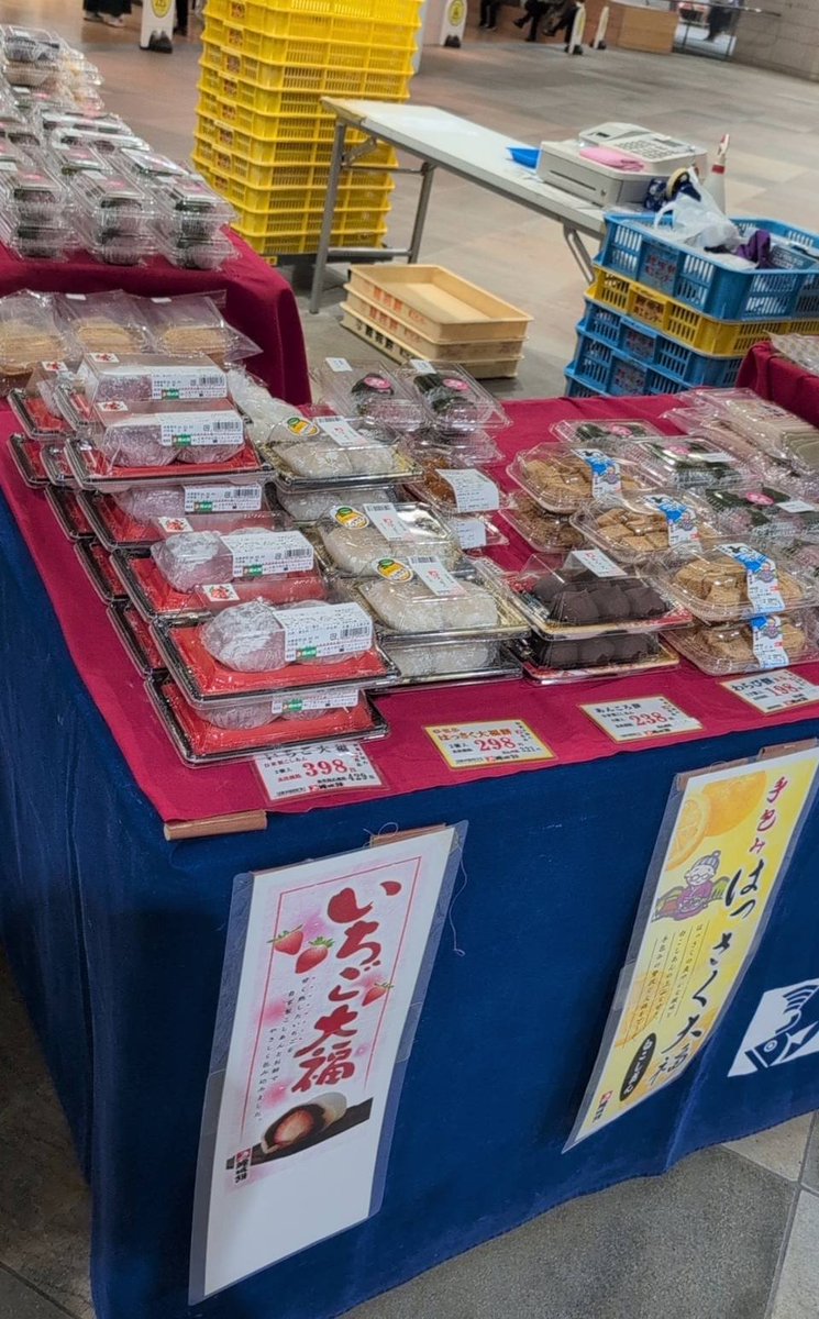 rijyoumoti's tweet photo. こんにちは

ひな祭りの季節となり、春の訪れを感じる日が増えてまいりました。

遅くなりましたが３月の対面販売予定店舗でございます。

＃鯉城餅
＃おもち
＃ひな祭り https://t.co/MldY0aF07p