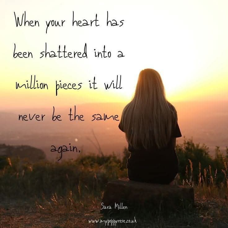 My Poppy Rose tweet media