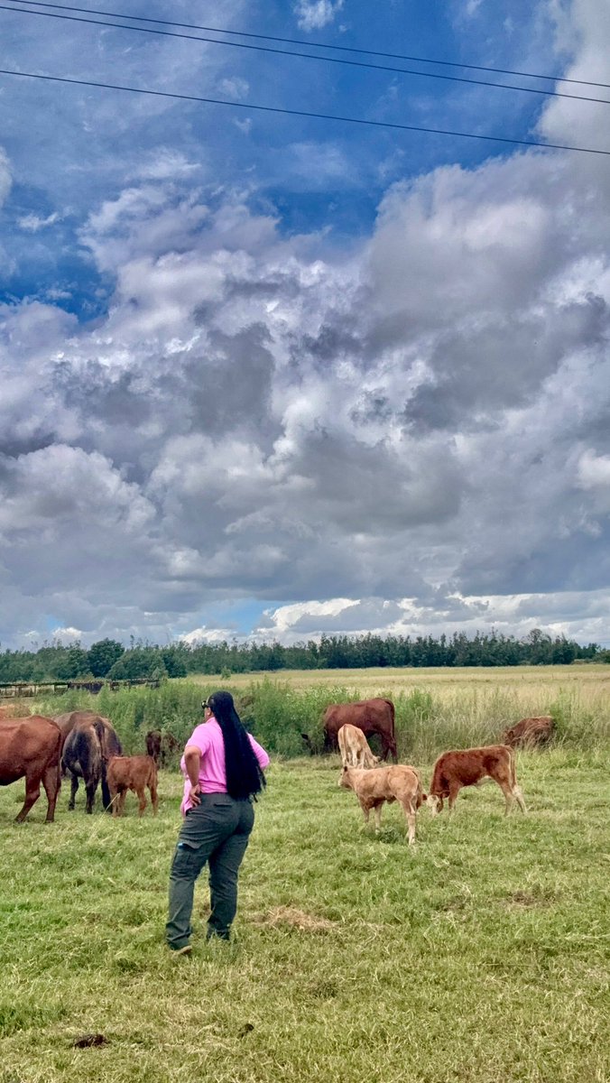 @Keneilwe_the farmer tweet media