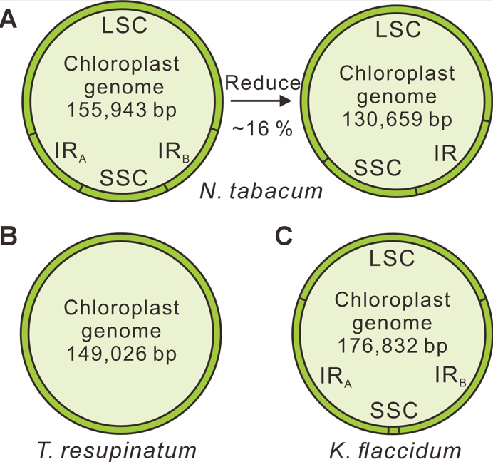 Molecular Plant & Plant Communications tweet media