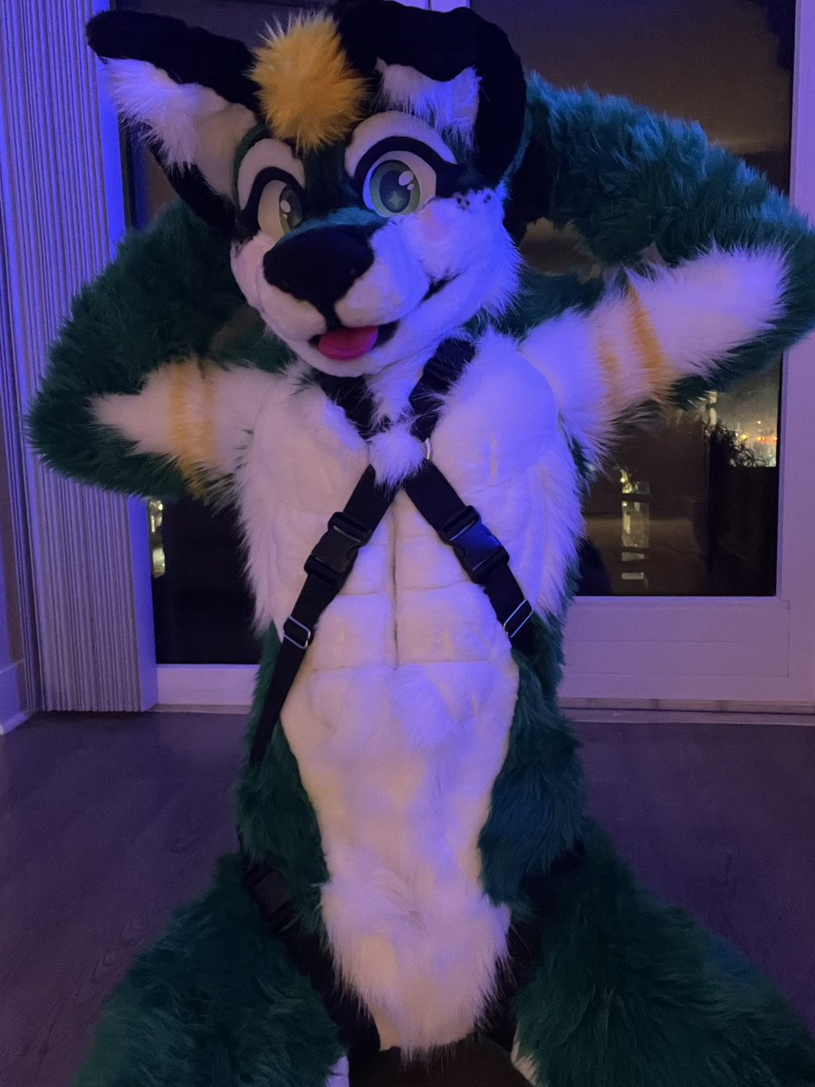 Packer 🔜 LVFC, Furdu, FWA, AC tweet media