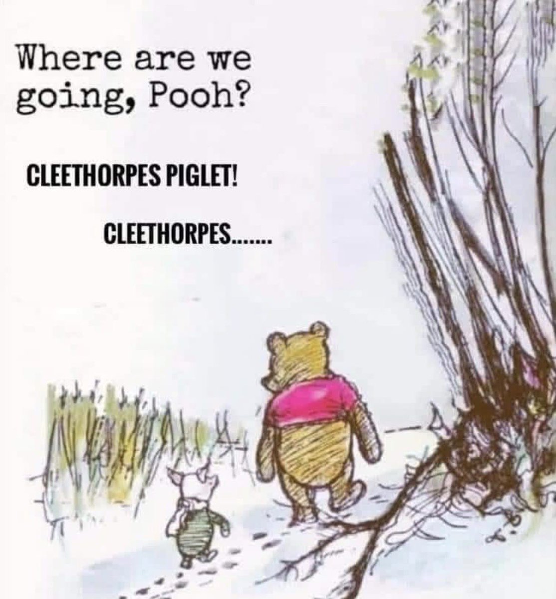 Claire C tweet media