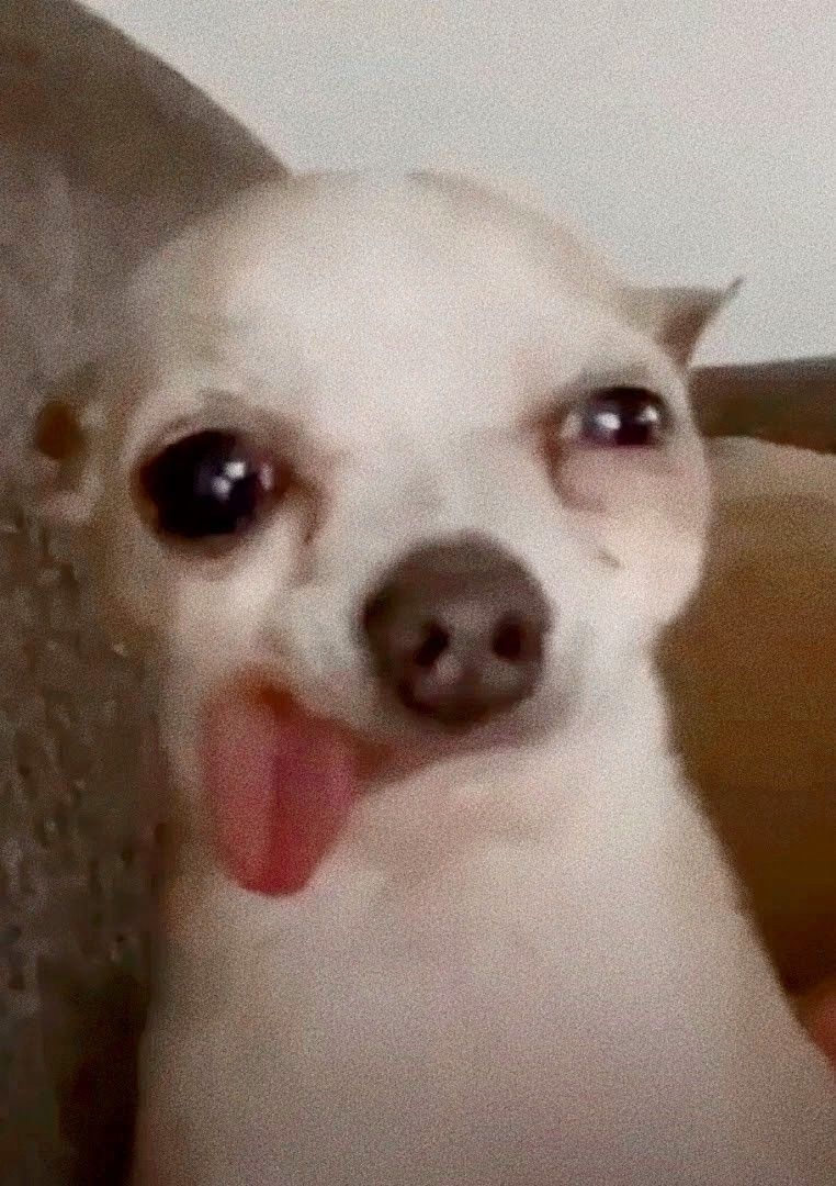 ⁣ ⁣ ⁣⁣⁣ ⁣⁣ ⁣ ⁣⁣⁣ ﹙ ⁣ ⁣⁣⁣ 程和光.⁣⁣⁣ ⁣⁣ ⁣ ⁣⁣⁣ ﹚ ⁣ tweet media