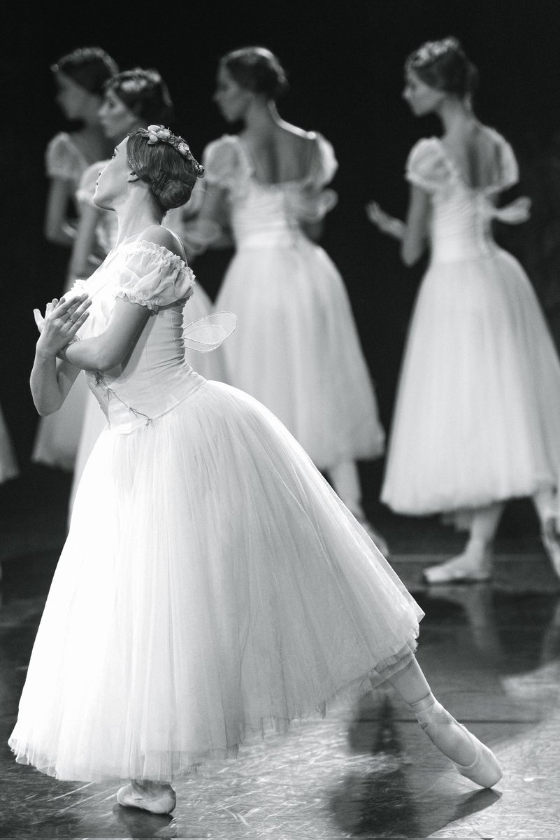 Lina-chi ~ ⛸☯ tweet media