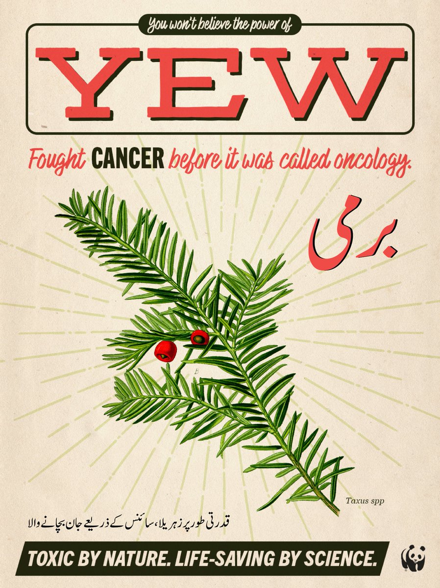 WWF-Pakistan tweet media