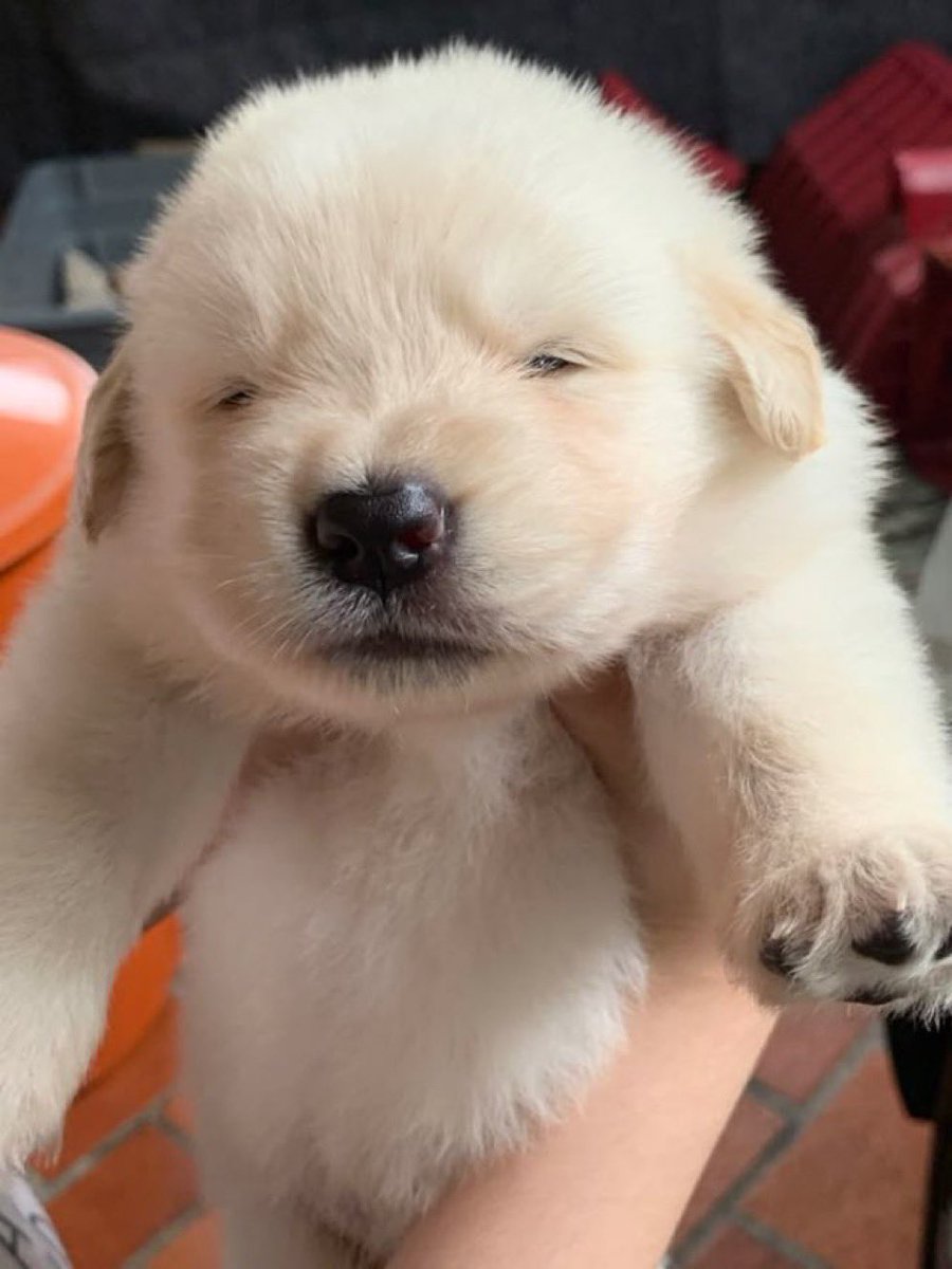 난주식하면안될것같음