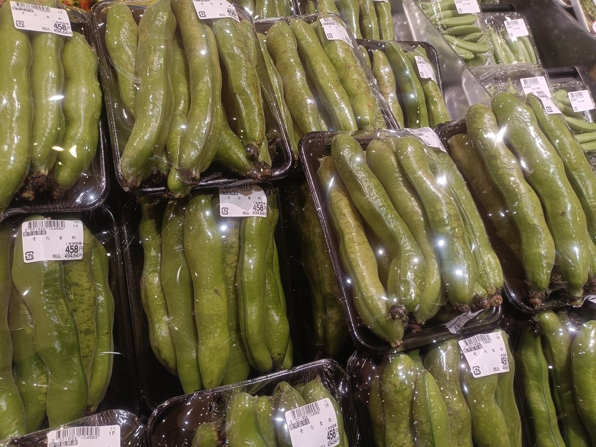 ✨そらまめ✨ 【寒さを耐えて、旨みがギュッ！❄️】 今が旬のそらまめ