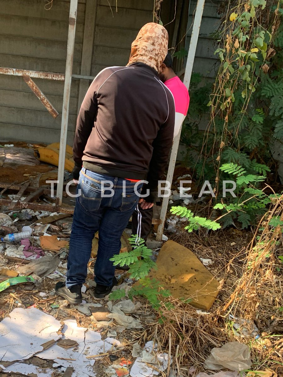 TG BIGBEAR tweet media