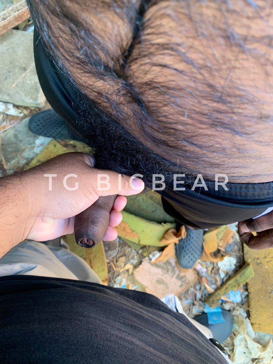 TG BIGBEAR tweet media