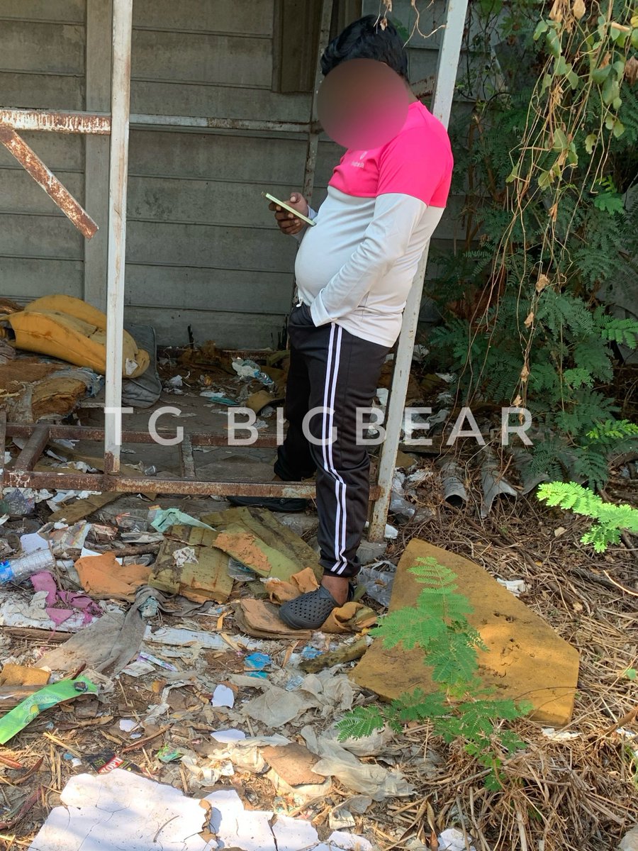 TG BIGBEAR tweet media