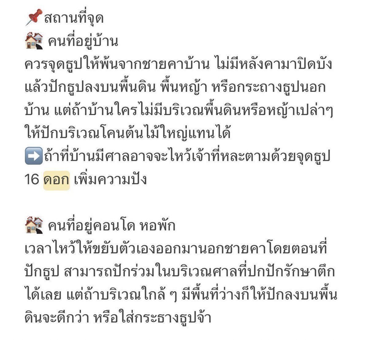แมว tweet media