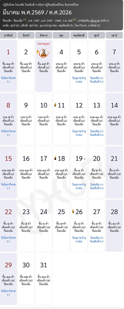 แมว tweet media