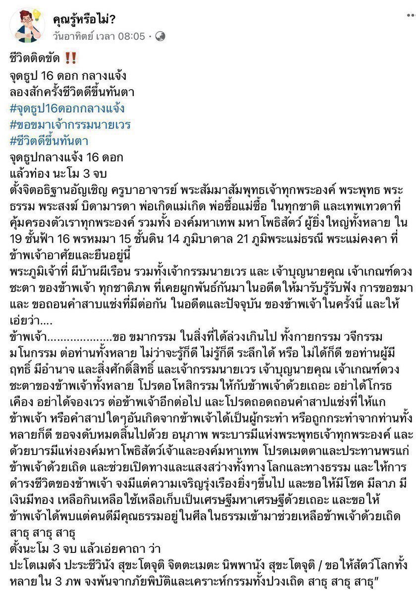 แมว tweet media