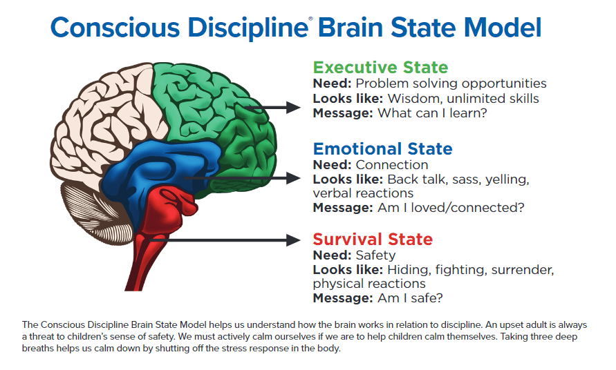 The brain processes and acts on information from the lowest parts.
If a young person is dysregulated the cortex isn't accessible,the lower brains more primitive areas under siege  will act on these dysregulated feelings &amp; emotions &amp; won't fully process or absorb information🧠🌱