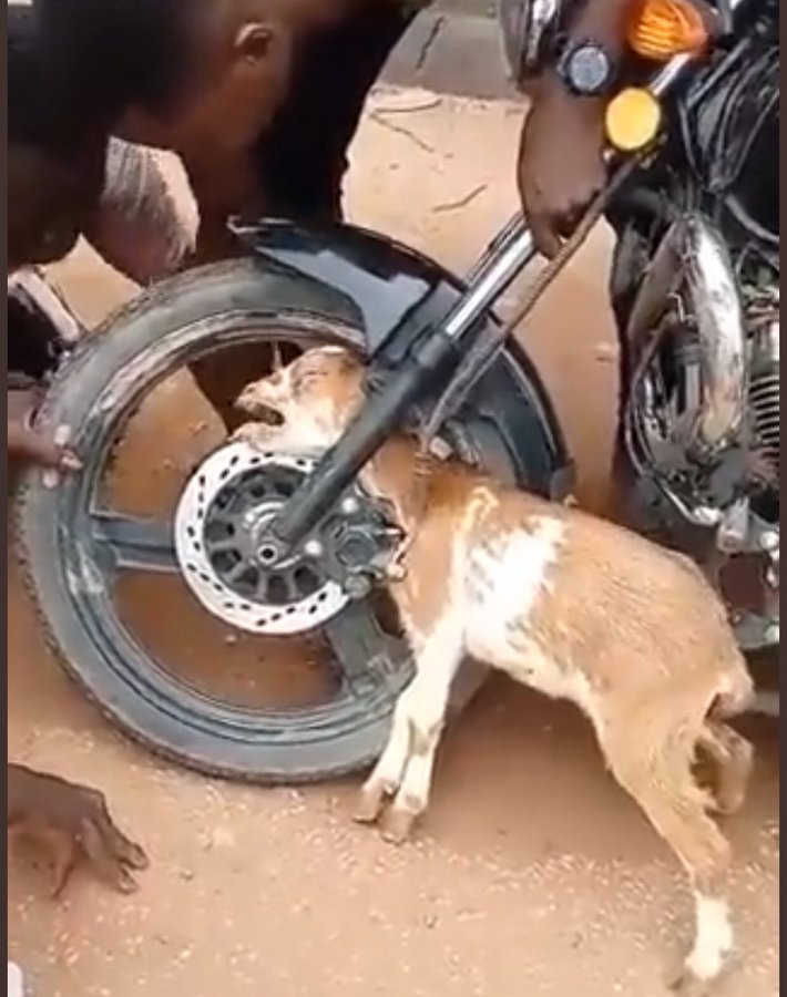 Mj 910..... tweet media