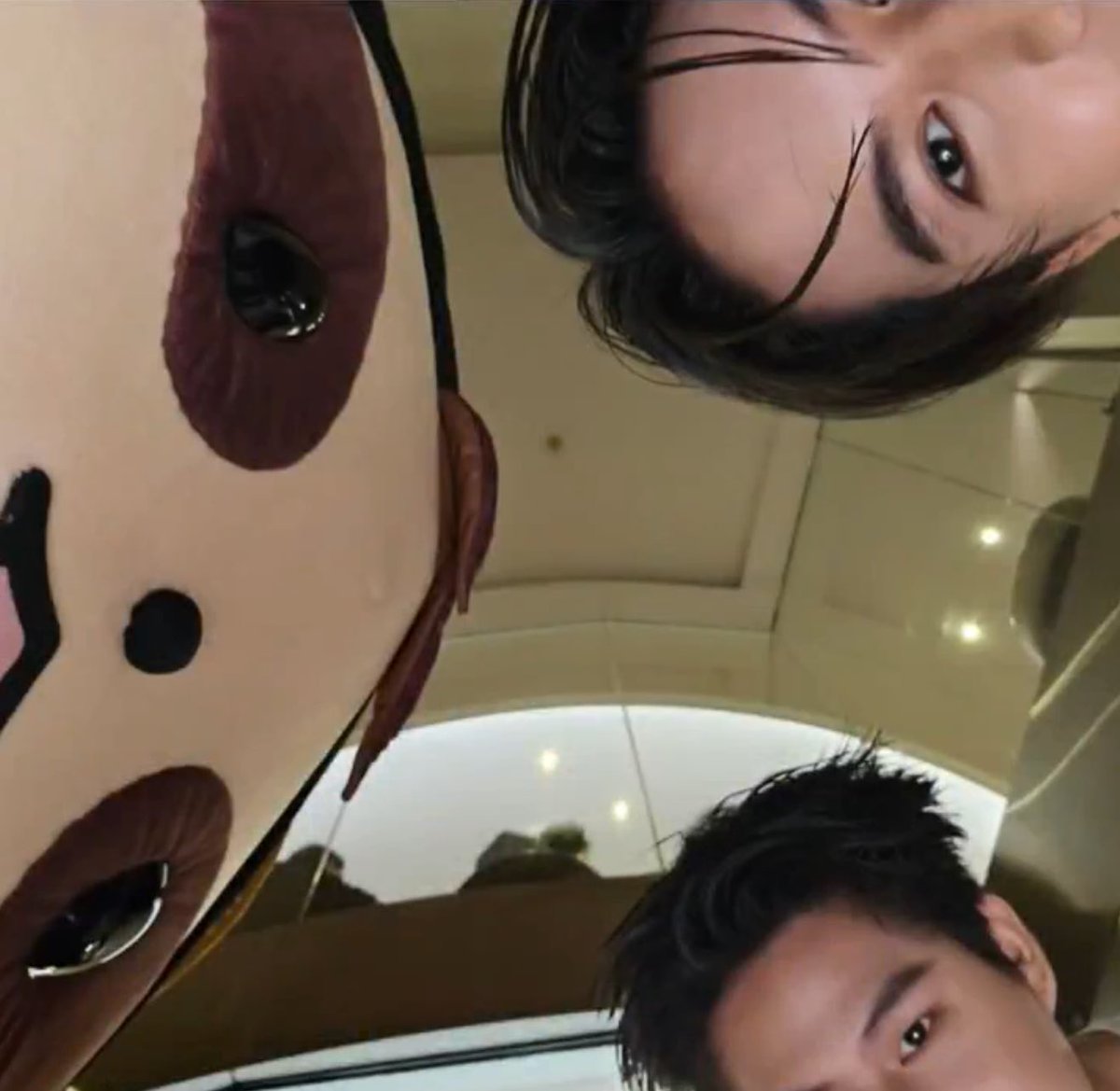 Zale (zel) 🦥💰🍀 tweet media