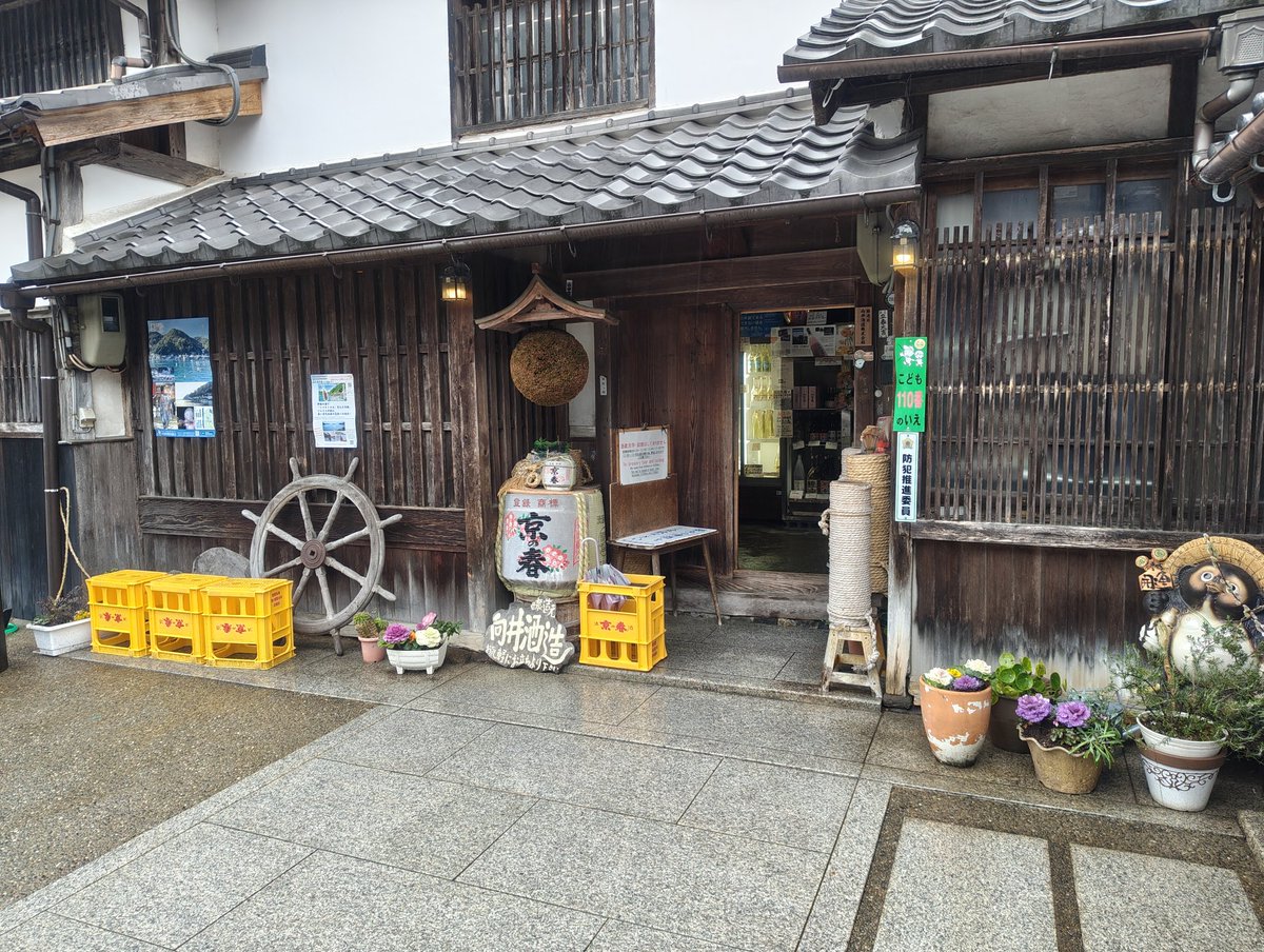 伊根にきたら、向井酒造でしょ。 京の春をたくさん買ったで