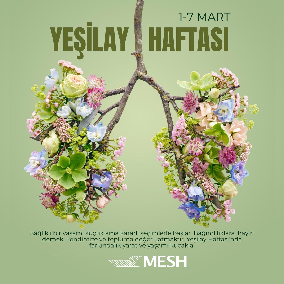 Mesh_Eng_Soft's tweet photo. 1–7 Mart Yeşilay Haftası

Sağlıklı yaşam bilinçli seçimlerle başlar.

Bağımlılıklara “hayır” demeye ve farkındalık çalışmalarını desteklemeye devam edeceğiz.

#YeşilayHaftası #Farkındalık #MESH https://t.co/kAnMDStWbC
