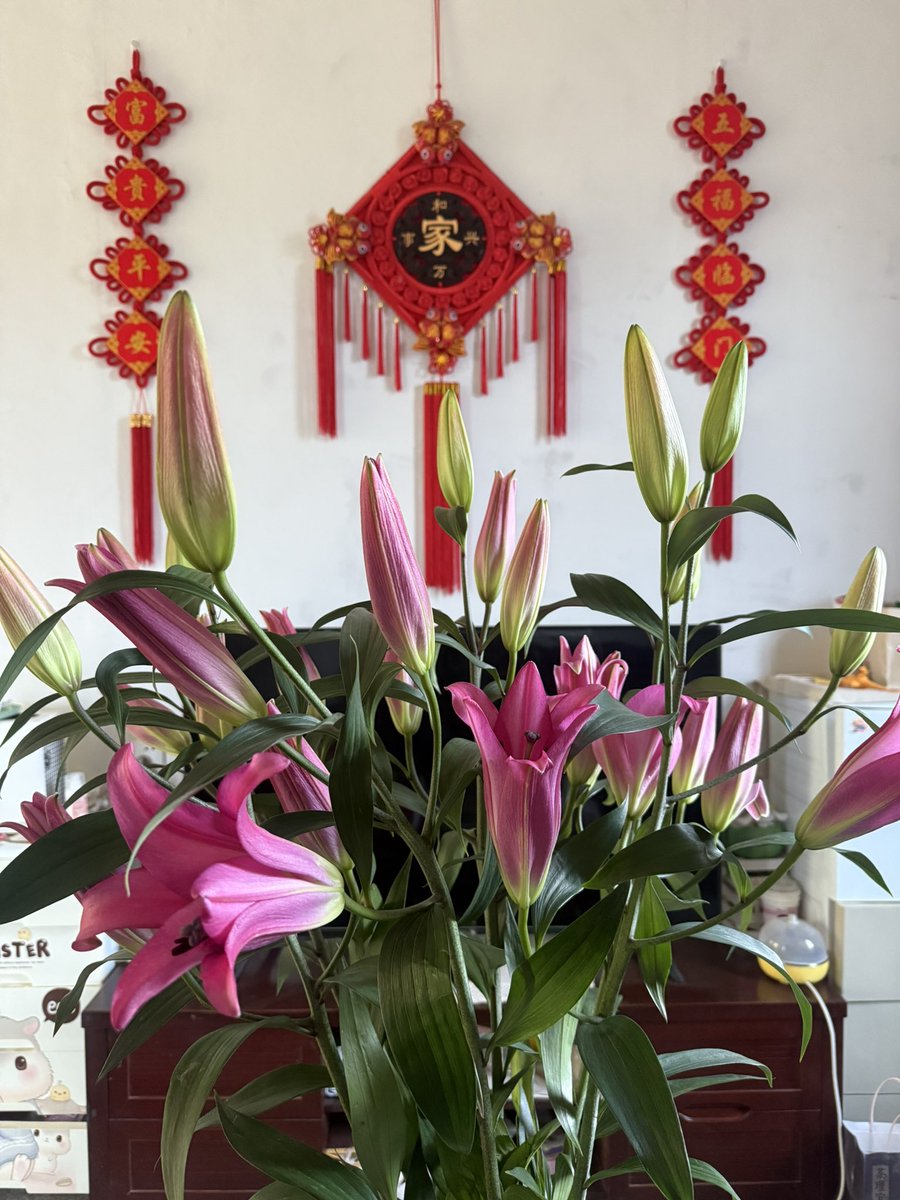 一直到厭倦 tweet media