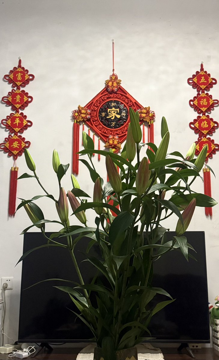 一直到厭倦 tweet media