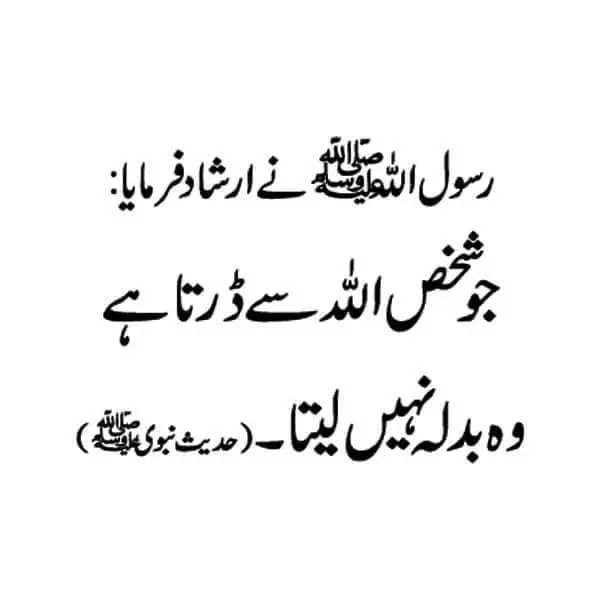 Sadia Rajpoot ⚡ tweet media