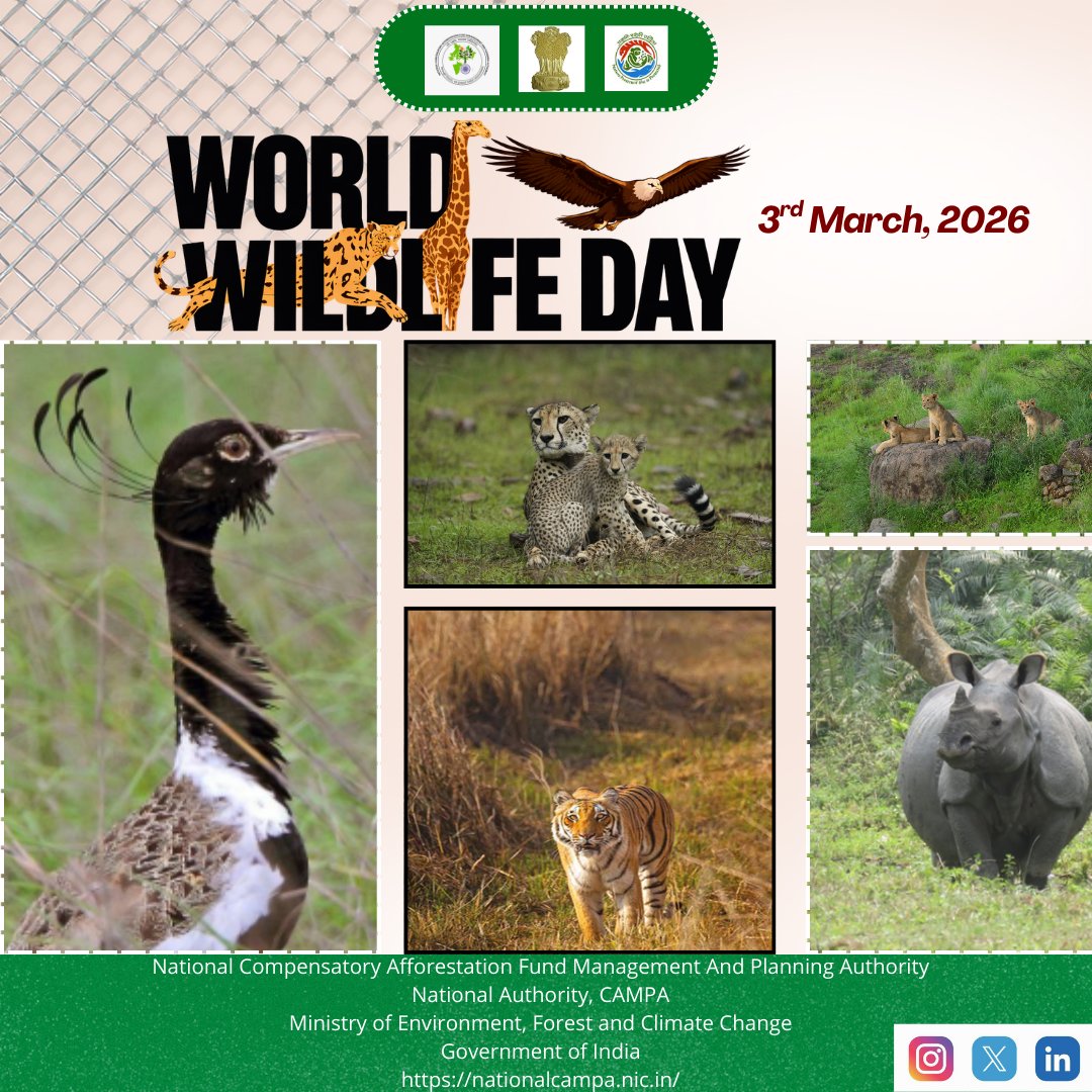 National Authority, CAMPA, MoEF&CC, GoI tweet media