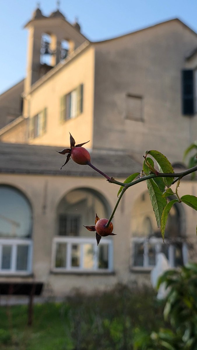 Buongiorno a tutti voi amici carissimi!
Dio vi benedica, vi protegga e vi doni Pace e Salute!
erboristeriadeifrati.it
#fratezio
#erboristeriadeifrati
#anticafarmaciasantanna