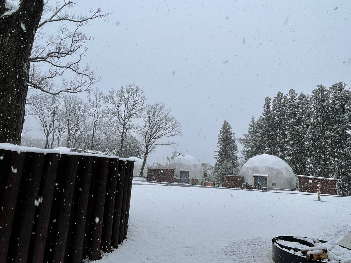すっかり春の陽気が続いていましたが
本日は今朝から雪が降っております❄️

窓から見る雪景色にはとっても癒されますね♪

かなり積もってきていますので、那須にお越しの方はお気をつけて下さいませ🚙