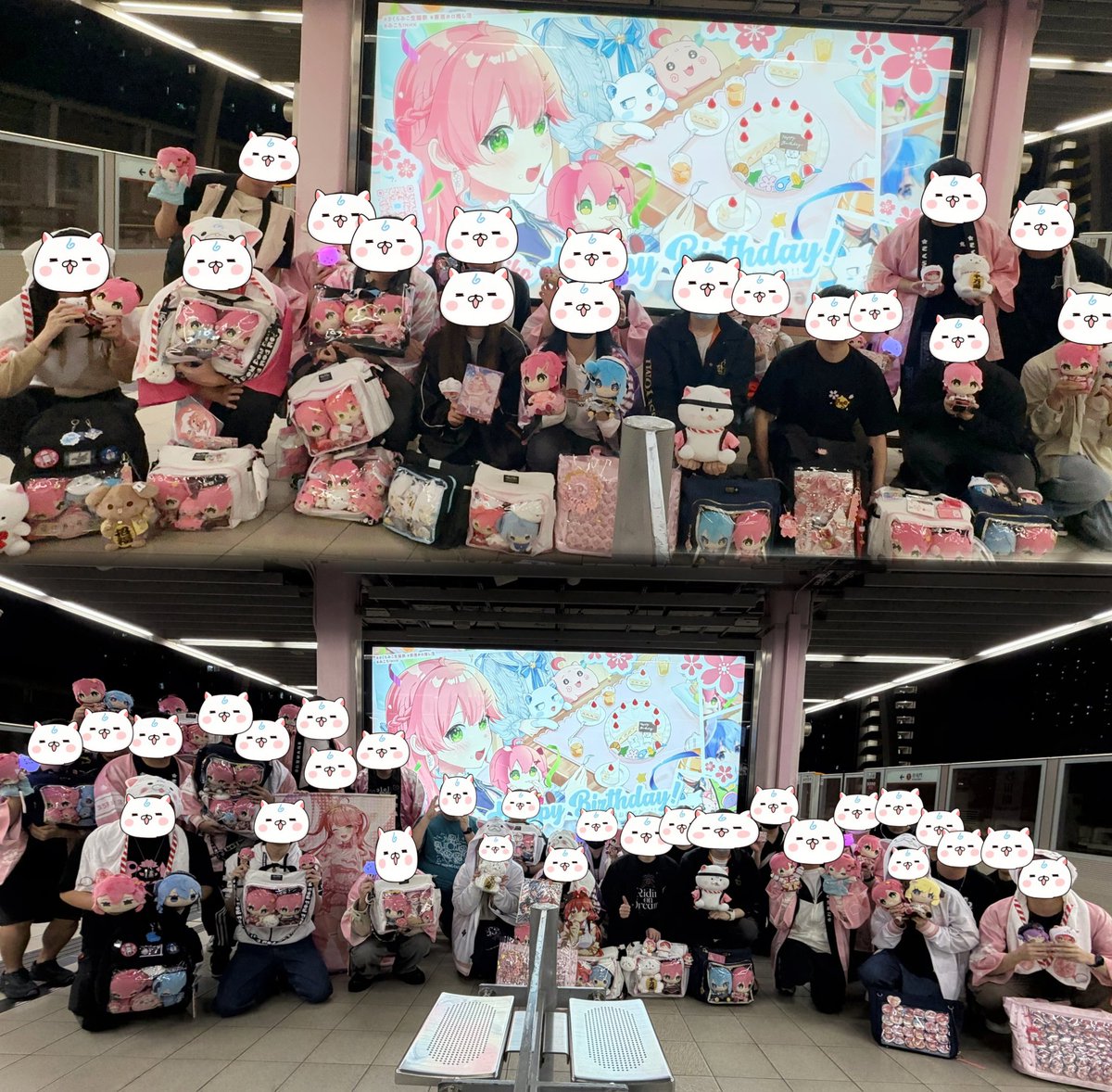 Owl🌸☄️ tweet media